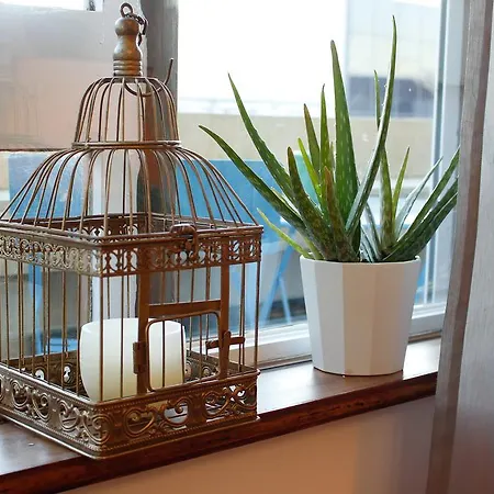 Trindade Apartment *