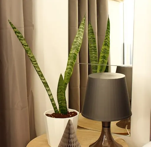 Διαμέρισμα Trindade