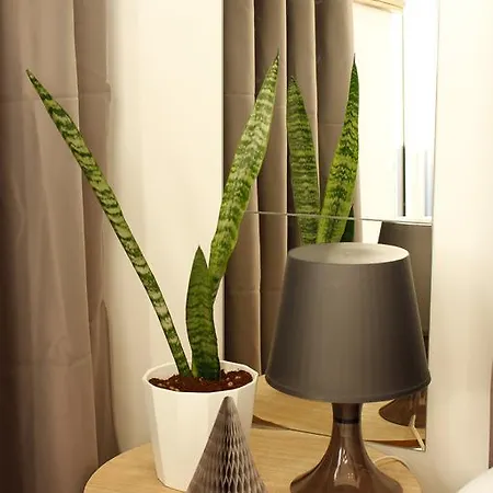 Apartman Trindade